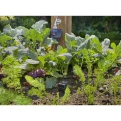 Gardena Smart Sensor Control Set 9 Gardena Smart Sensor Control Set -Exporteren Groen Bodem Winkel 123 1020