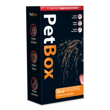 Petbox Hond 40 - 60 Kilo 1 Petbox Hond 40 - 60 Kilo