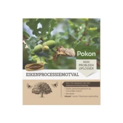 Pokon Eiken Processiemotval -Exporteren Groen Bodem Winkel 123 1432