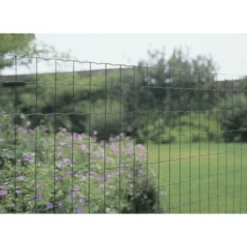 Betafence Pantanet Light Tuingaas 80cm X 25m Groen -Exporteren Groen Bodem Winkel 123 249