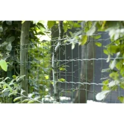 Betafence Pantanet Tuingaas Family 203 Cmx25 M Groen 11 Betafence Pantanet Tuingaas Family 203 Cmx25 M Groen -Exporteren Groen Bodem Winkel 123 262