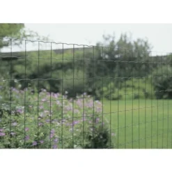 Betafence Pantanet Light Tuingaas 80cm X 10m Groen -Exporteren Groen Bodem Winkel 123 293