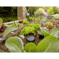 Gardena Bodemvochtigheidssensor 9 Gardena Bodemvochtigheidssensor -Exporteren Groen Bodem Winkel 123 754