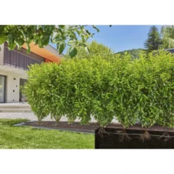 Gardena Micro Drip Druppelbuis 50 Meter Ondergronds En Bovengronds -Exporteren Groen Bodem Winkel 123 828