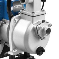 Exporteren Groen Bodem Winkel -Exporteren Groen Bodem Winkel 123 926