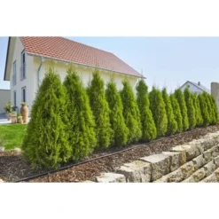 Gardena Micro Drip Startset M Voor Rijplanten (excl Timer) 6 Gardena Micro Drip Startset M Voor Rijplanten (excl Timer) -Exporteren Groen Bodem Winkel 123 945