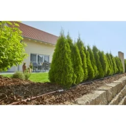 Gardena Micro Drip Startset M Voor Rijplanten (excl Timer) 7 Gardena Micro Drip Startset M Voor Rijplanten (excl Timer) -Exporteren Groen Bodem Winkel 123 946