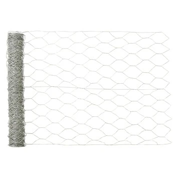 Exporteren Groen Bodem Winkel -Exporteren Groen Bodem Winkel 2